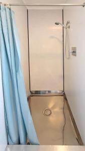 a shower with a blue curtain in a bathroom at The Ranolf Residence in Rotorua +11 photos