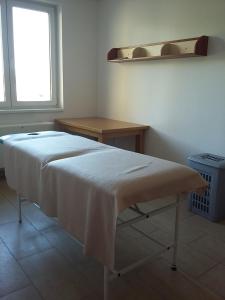 Lázně a/nebo wellness v ubytování Hotel Auto Jas