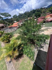 an overhead view of a tree in a yard at Granja Bagdá in Araras Petropolis