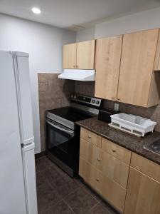 a small kitchen with a stove and a sink at Peaceful escape in Ottawa +6 photos