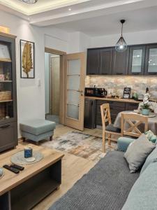 a living room with a couch and a kitchen at Apartman Amber Vrnjačka Banja in Vrnjačka Banja