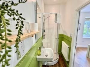 a bathroom with a shower and a sink at RIVERBANC in Llangollen