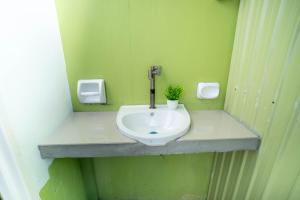 a bathroom with a sink in a green wall at Liberty's Homestay Private Apartment in Coron