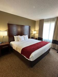 a hotel room with a large bed and a window at Charlotte Suites by IHG in Charlotte