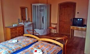 mały pokój z 2 łóżkami i telewizorem w obiekcie Pension Vetrny Vrch w mieście Ostrov