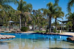 a swimming pool with palm trees in a park at Tasman Holiday Parks - Merool on the Murray in Echuca