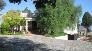 una casa con un árbol delante de una entrada en Taverna Grika, en Lecce