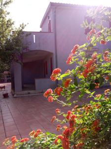 a house with a courtyard with red flowers at Appartamenti Santa Margherita in Vieste