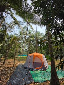 an orange and gray tent sitting next to trees at The Kadu in Tāzhekkod