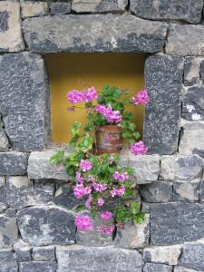 a window in a stone wall with pink flowers at La Posada de Cucayo in Dobres