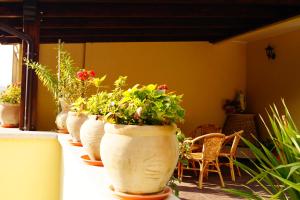 Zahrada ubytování B&B Il Fruscio