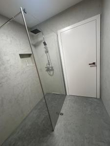 a shower with a glass door in a bathroom at Erdeis Apartments in Krems an der Donau +25 photos
