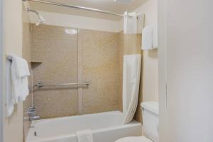 a bathroom with a shower and a toilet at Econo Lodge Williamsburg Historic Area in Williamsburg +13 photos