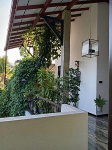 a green wall with plants on the side of a building at Villa Nuelumalee UpStairs in Hikkaduwa
