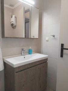 a bathroom with a white sink and a mirror at Villa Kalliope in Nénita