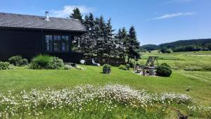 a house with a yard with flowers in the grass at Ferienhaus Ulli in Gansbach