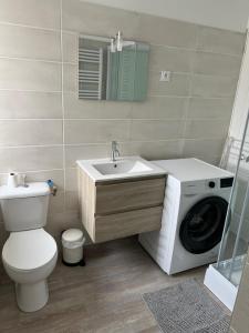 a bathroom with a sink and a washing machine at Signature Apartment in Pélussin