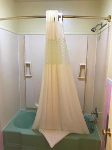 - un rideau de douche dans la salle de bains pourvue d'une baignoire dans l'établissement Shamrock Country Inn, à Shamrock