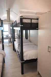 a group of bunk beds in a room at Noahs Ark Beachfront in Lamai