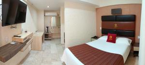 a hotel room with a bed and a flat screen tv at Hotel Yahalis in Jilotepec de Abasolo