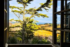 a window with a view of a tree at Mary Jungle in Porto SantʼElpidio