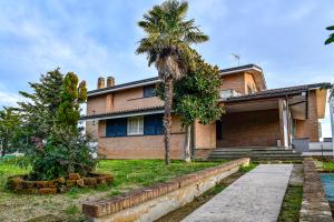 a house with a palm tree in front of it at Mary Jungle in Porto SantʼElpidio +27 photos
