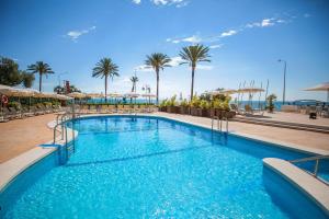 a large swimming pool with palm trees in a resort at Hotel Servigroup Trinimar in Benicàssim