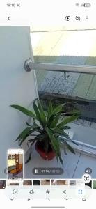 a plant sitting on a desk next to a laptop computer at Lins Haven in Kilifi