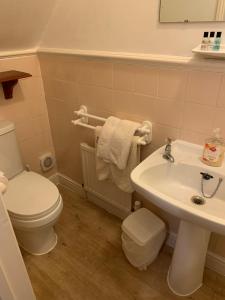 a bathroom with a white toilet and a sink at Beachy Rise in Eastbourne