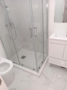 a bathroom with a shower and a toilet and a sink at Apartamento Cassoma in Amadora +9 photos