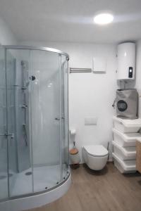 ein Badezimmer mit Glasdusche und Toilette in der Unterkunft Auszeitbox in Schärding