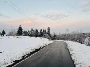 an empty road with snow on the sides at Delight Homestay Gulmarg in Gulmarg +3 photos