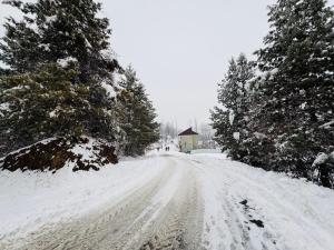 a snow covered road with trees and a building at Delight Homestay Gulmarg in Gulmarg