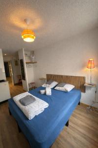 a bedroom with a blue bed in a room at Logis, appartement, 220 élégant et central in Paray-le-Monial