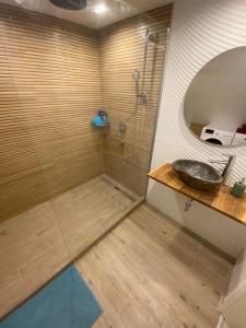 a bathroom with a sink and a shower at Relaxen am Waldesrand Fewo 2 in Ahrbrück