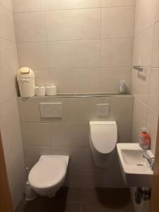 a bathroom with a toilet and a sink at Panoramaferienwohnungen Stemler in Eulenbis