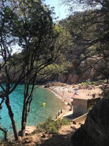 a beach with a group of people in the water at A Stalla in Piana