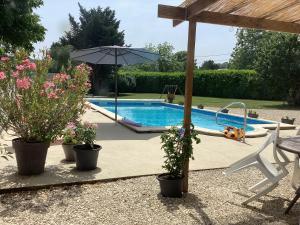a pool with potted plants and an umbrella at La Grange in Yviers