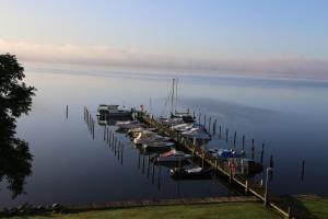 a group of boats docked at a dock on the water at Schleiblick App 5 in Rabenkirchen-Faulück +8 photos