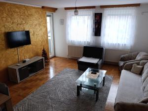 a living room with a couch and a tv at Apartman Balkan in Bijeljina