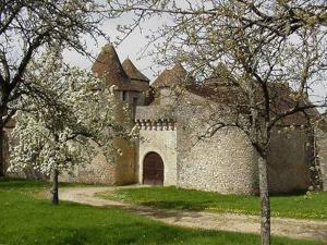 an old stone building with a gate and two trees at Chateau de Forges in Concremiers