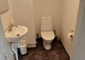a bathroom with a white toilet and a sink at Djup in Brevens Bruk +15 photos