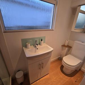 a bathroom with a sink and a toilet and a window at Dinky Daze Norfolk Broads in Brundall +5 photos