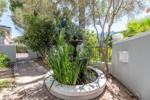 a fountain in the middle of a courtyard with trees at Maison du Cap in Cape Town