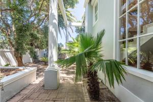 a palm tree in front of a building at Maison du Cap in Cape Town