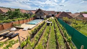 an outdoor garden with benches and a swimming pool at Rezidence Věstonice in Horní Věstonice