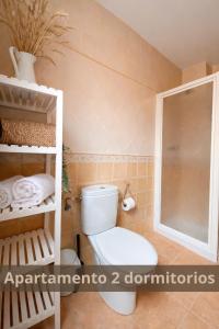 a bathroom with a toilet and a shower at Alojamientos Apolonia, La Fresneda in La Fresneda +32 photos