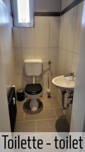 a bathroom with a toilet and a sink at Lokschuppen - Backstein-Loft in Bad Oeynhausen