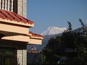 山景或在酒店看到的山景