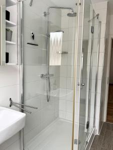 a shower with a glass door in a bathroom at City Flair by Zirwick Apartment in Weiden